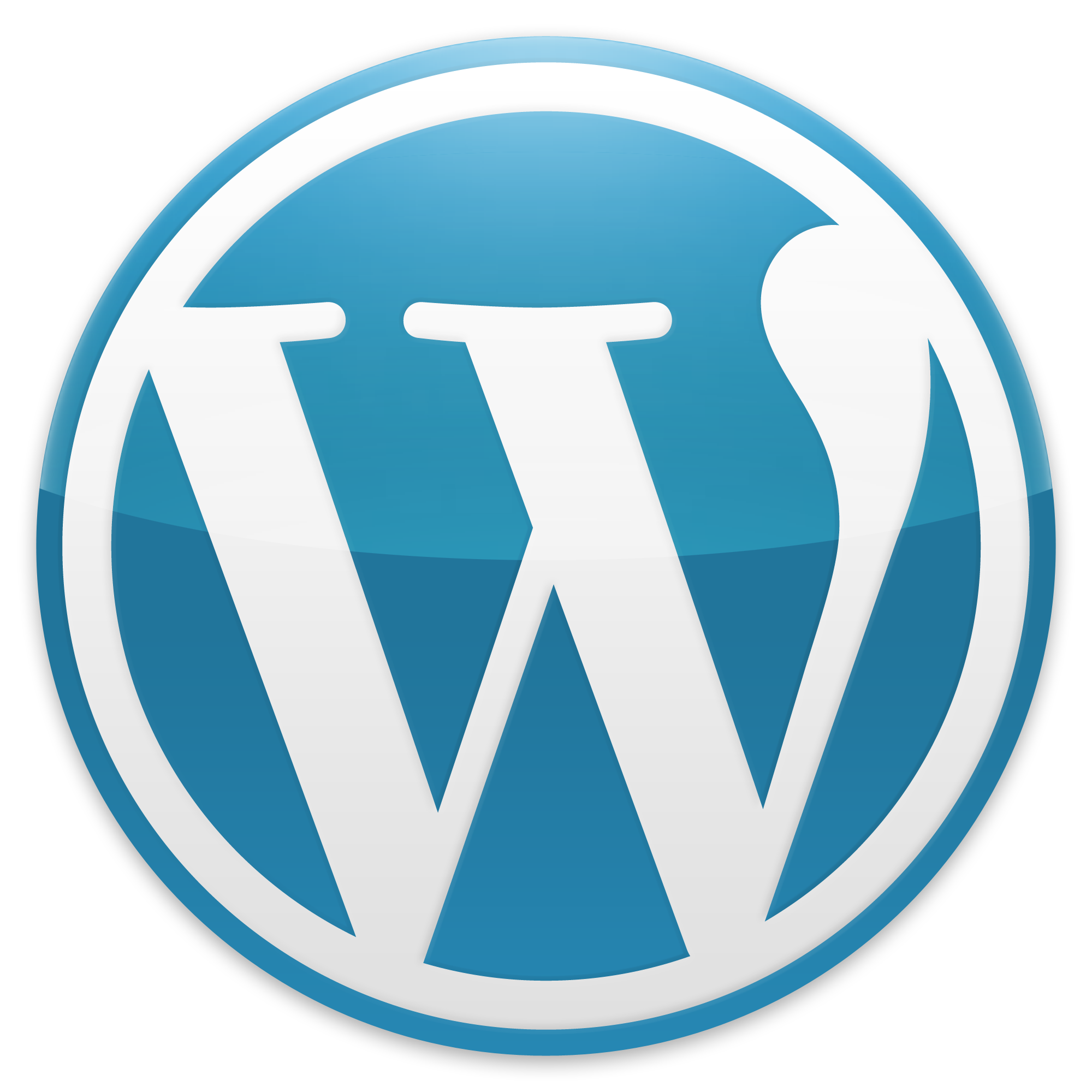 Wordpress Website or Store - Image 1